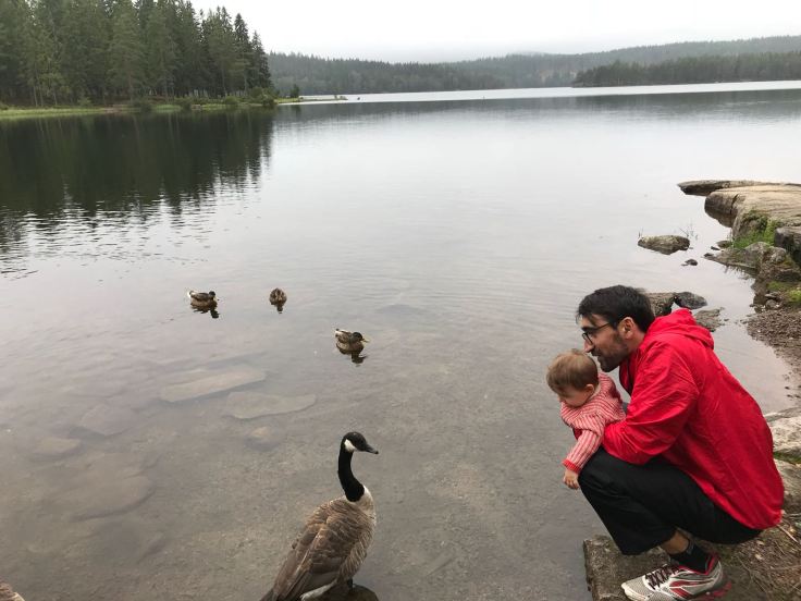 9f0ed2d2-17d9-44d0-aab8-3976cf2db66c